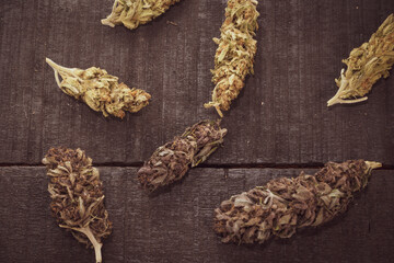 Marijuana with buds on wood 