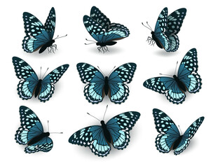 Fototapeta na wymiar Set of blue butterflies flying in different directions. Collection of butterflies on a white background. Butterflies side and top view.