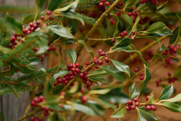 red berries on a branch