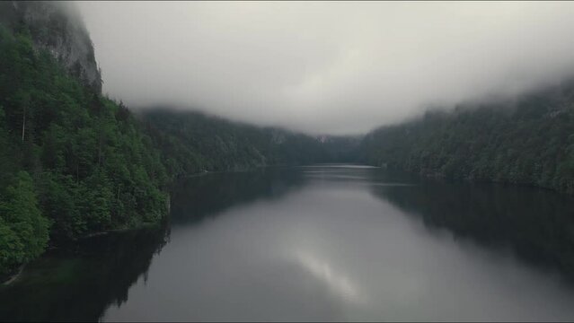 mist over the river