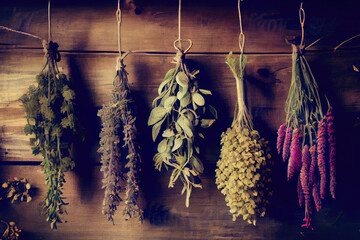 various kitchen herbs