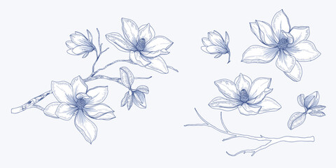 Luxury Navy blue flower elements vector decorate wall art