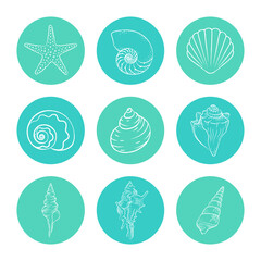 Seashells and starfish sticker set, hand drawn aquatic marine life illustration