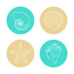Seashells and starfish sticker set, hand drawn aquatic marine life illustration