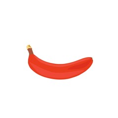 illustration of a red banana fruit on a white background