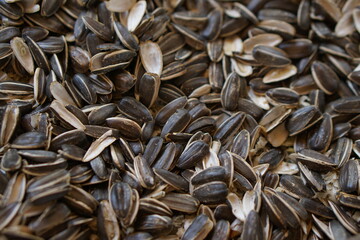 sunflower seeds background that parrots eat