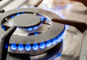 The gas burns in the burner of a kitchen stove
