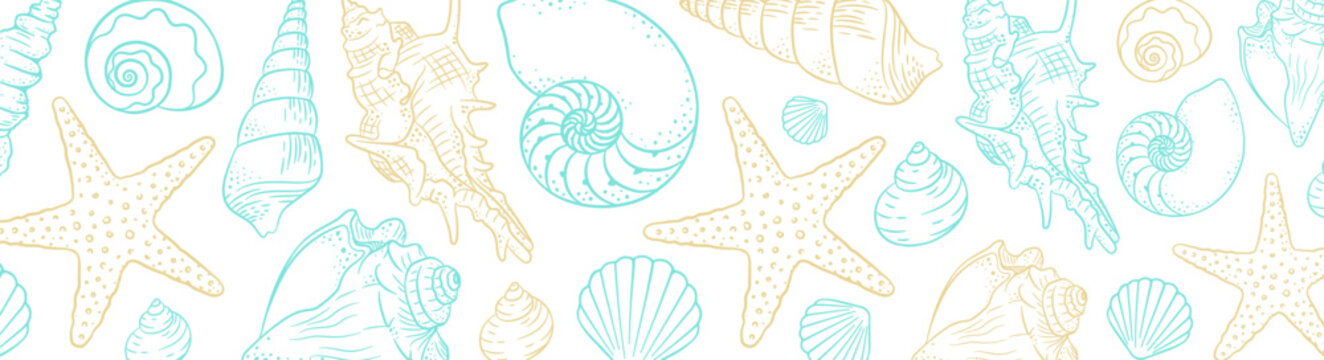Summer time horizontal banner background. Hand drawn sea shells and stars collection. Marine illustration of ocean shellfish