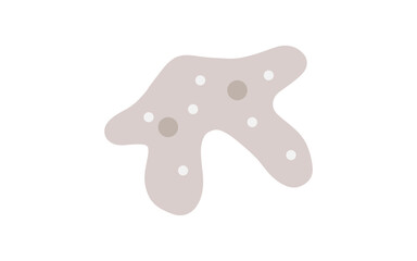 プランクトン・アメーバ