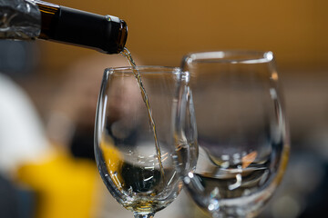 White wine is poured into a glass against the background of the room where the wine tasting is taking place