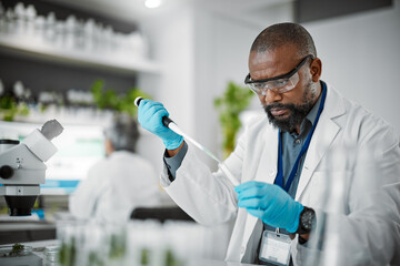 Man, thinking or pipette for test tubes in laboratory, medical science research or gmo food engineering. Worker, dropper or plant scientist and biology glass equipment in sustainability leaf research