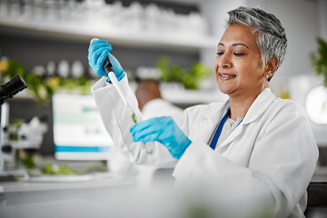 Plants, test tube and scientist woman with research, exam and solution for leaves in laboratory,...