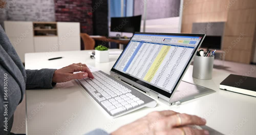Poster Electronic Spreadsheet Analyst Or Auditor Using Software