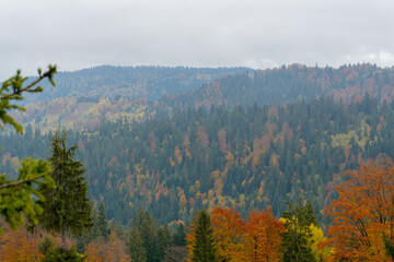 fog in the mountains