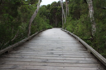 Fototapeta premium Boardwalk near Tidal River, Wilsons Promontory, Gippsland, Victoria, Australia.
