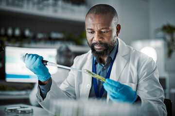 Plants, laboratory and scientist man with natural exam, leaves solution and eco friendly medicine, research or study. Glass, sustainable healthcare and pharmaceutical growth of african science expert