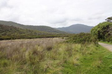 Walking track near Tidal River, Wilsons Promontory, Gippsland, Victoria, Australia.