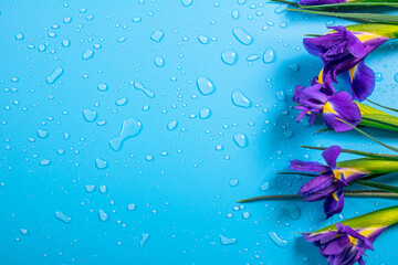 Beautiful spring flowers.