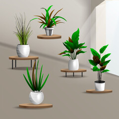 Collection plant interior vector art