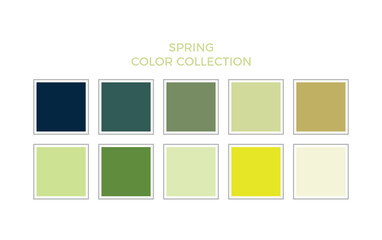 Trendy color palette design illustration. Graphic color palette design