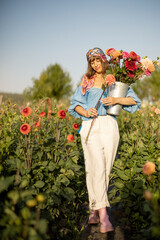 Portrait of a woman as a farmer carries bucket full of freshly picked up colorful dahlias, working...