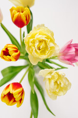 Bright spring bouquet of tulips in a vase close-up on a white background. Top view