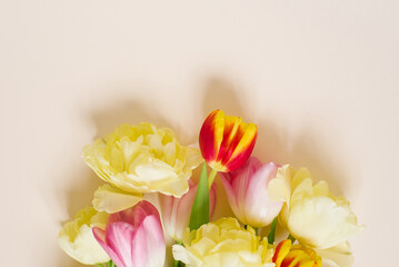 A bright spring bouquet of tulips on a beige background with copy space. Greeting card