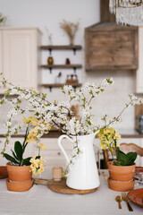 A bouquet of spring white flowers on branches in a vase on the kitchen table. Scandinavian style of the interior and decor of the house