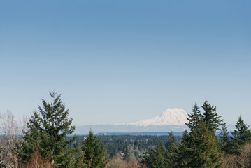 Beautiful landscape with a view of the Rainier volcano from Olympia