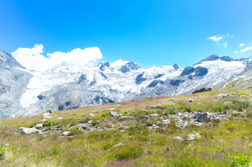 Landscape with green meadows and snow-capped peaks