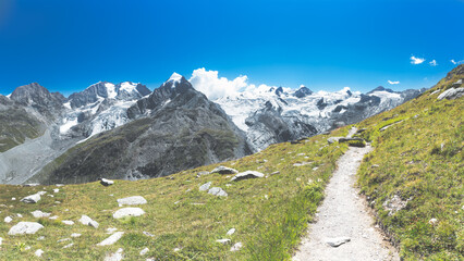 Fototapeta na wymiar Trail in the heart of the alps