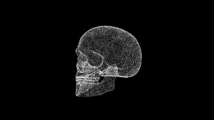 3D human skull on black background. Object dissolved white flickering particles. Science concept. Abstract bg for title, presentation. Holographic screensaver. 3D animation