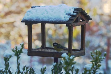 Nice small birdhouse under snow