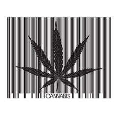Cannabis hemp leaf on barcode strip. Black and white vector illustration isolated on white background.