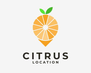 Citrus Fruit Lemon Lime Orange Food Drink with Location Pin Map Search Position Vector Logo Design