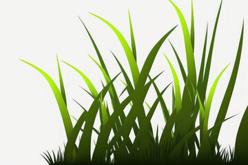 Fototapeta premium Shadowed green grass on a white background. Generative AI