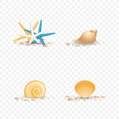 sea inhabitants on a beach sand