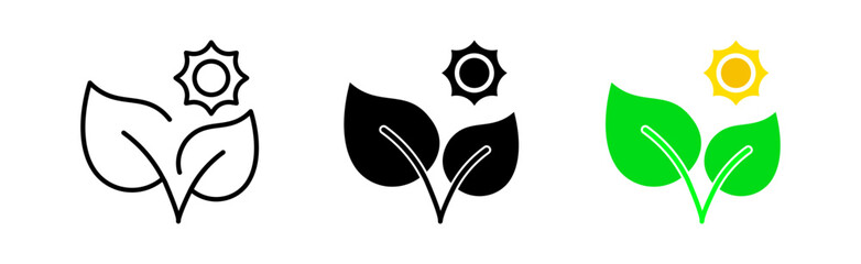 Plant line icon. Soil, earth, eco, ecology, flora, botany, ecosystem, plants, sun, leaves, drugs, biology. Nature concept. Vector icon in line, black and color style on white background