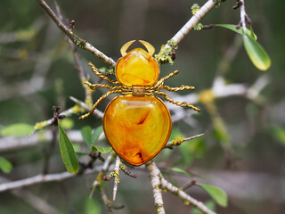 Vintage amber bug on a branch