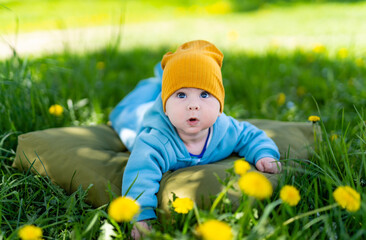 Baby boy sitting on the grass with dandelion flowers in the garden on beautiful spring day. Beautiful child portrait outdoors