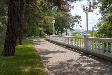 Fototapeta premium Gelendzhik bay. Embankment of resort city. Shady alley of Pitsunda pines along pedestrian area paved with paving slabs. Blurred background. Selective focus. Atmosphere of serene rest and relaxation.