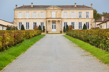 Traditional chateau and vineyards in Bordeaux. Winemaking in Aquitaine, France
