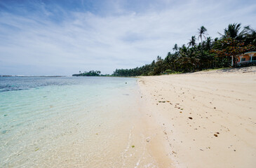 Tropical white sand beach with coconut palm trees.