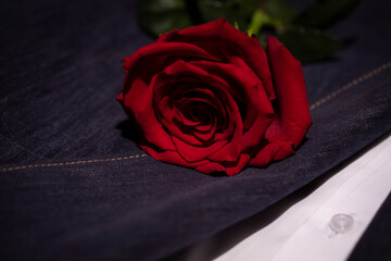 Roses bouquet on the clothing. Dark bouquet of red roses