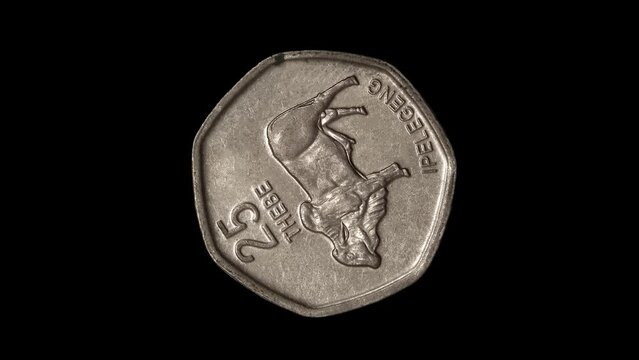 Reverse of Botswana coin 25 thebe with image of an ox, isolated in black background. 4K video