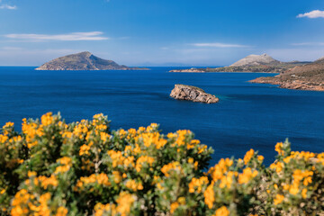 Cape Sounion with spring flowers against little islands in the sea, Athens area, Greece