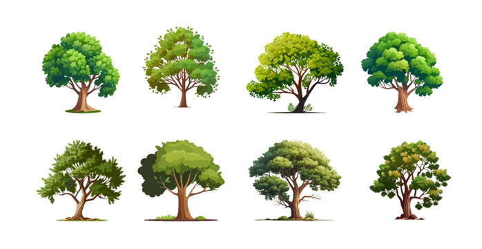 Collection of realistic trees isolated on white background. Beautiful trees.