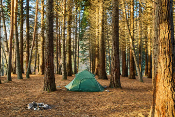 Lonely tourist tent in the autumn picturesque forest. Self-isolation in nature. Tourism concept....