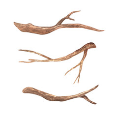 A set of small branches without leaves. Watercolor illustration. Brown dry straight twig. Isolated on a white background. For rustic print design, eco friendly packaging, vintage stickers