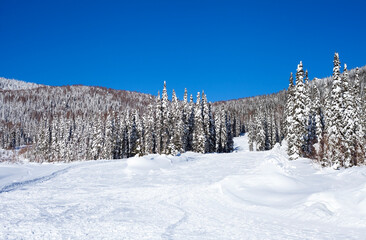 winter landscape on a sunny day